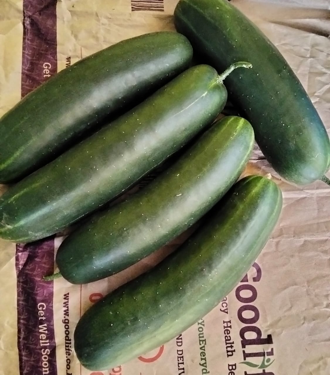 Pepino from Quénia