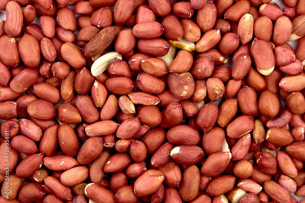 Kacang Tanah / Groundnut from India