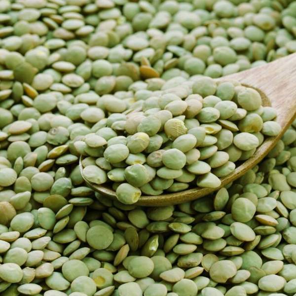 Lenticchie verdi from Canada