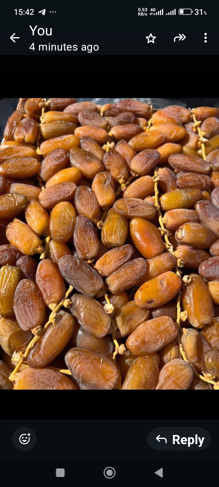 Datteri FRESCHI from Tunisia