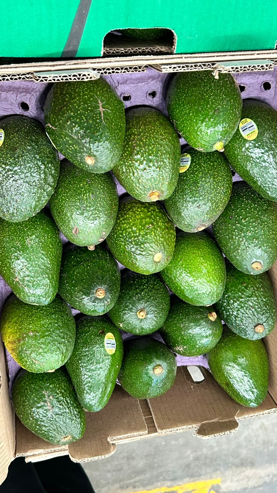 Avocados from Mexiko