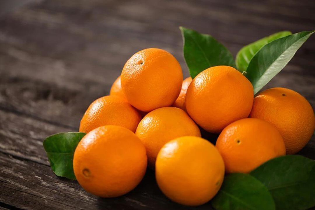 orange Première classe from Égypte