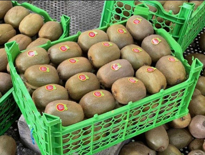 Fresh Kiwi from Iran