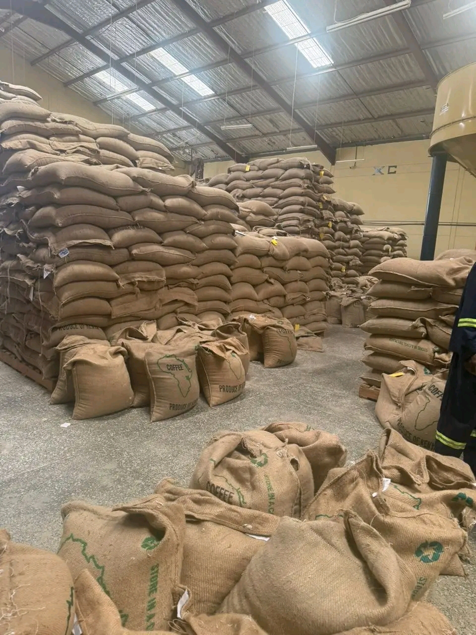 Chicchi di caffè Arabica premium from Tanzania