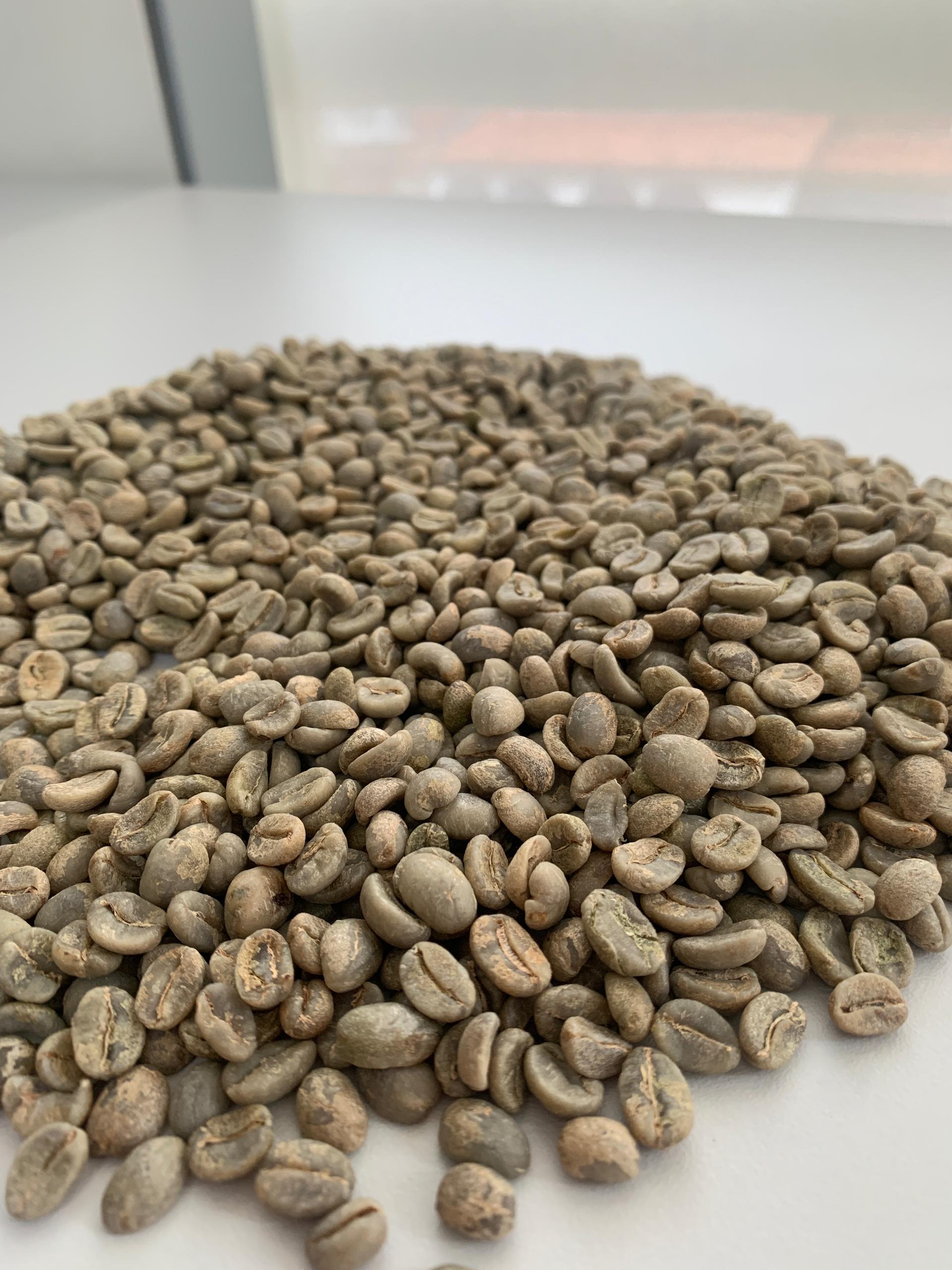 Caffè Verde in Grani 100% Arabica from ---