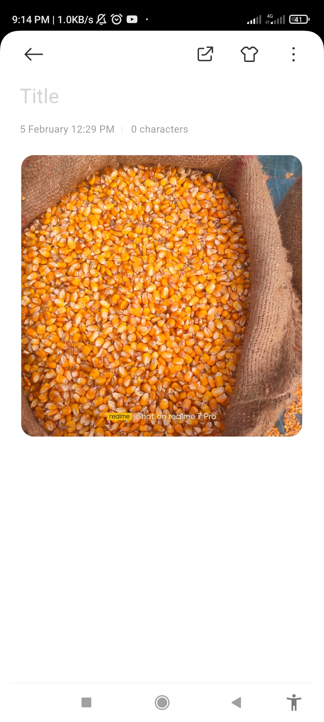 Nozes de raposa, milho, arroz, folhas de chá, produtos lácteos, especiarias, frutas secas from Índia