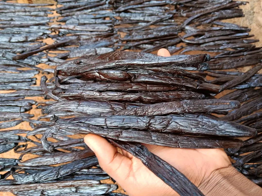 Baccelli di vaniglia from Uganda
