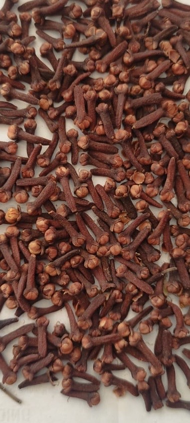 rajapaksha produce from Sri Lanca