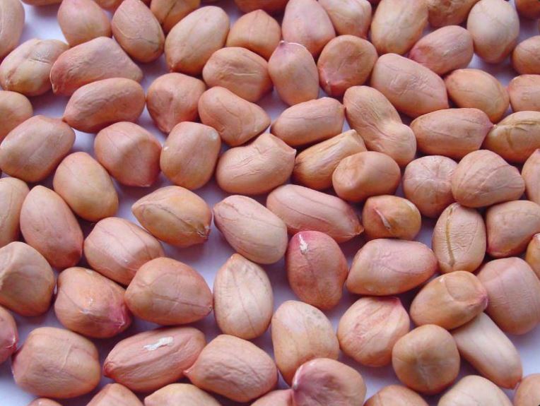 CACAHUETES from Territorio Británico del Océano Índico