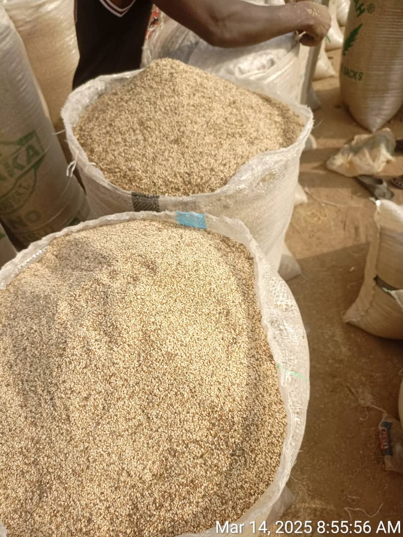 Sesame seeds from Nigeria