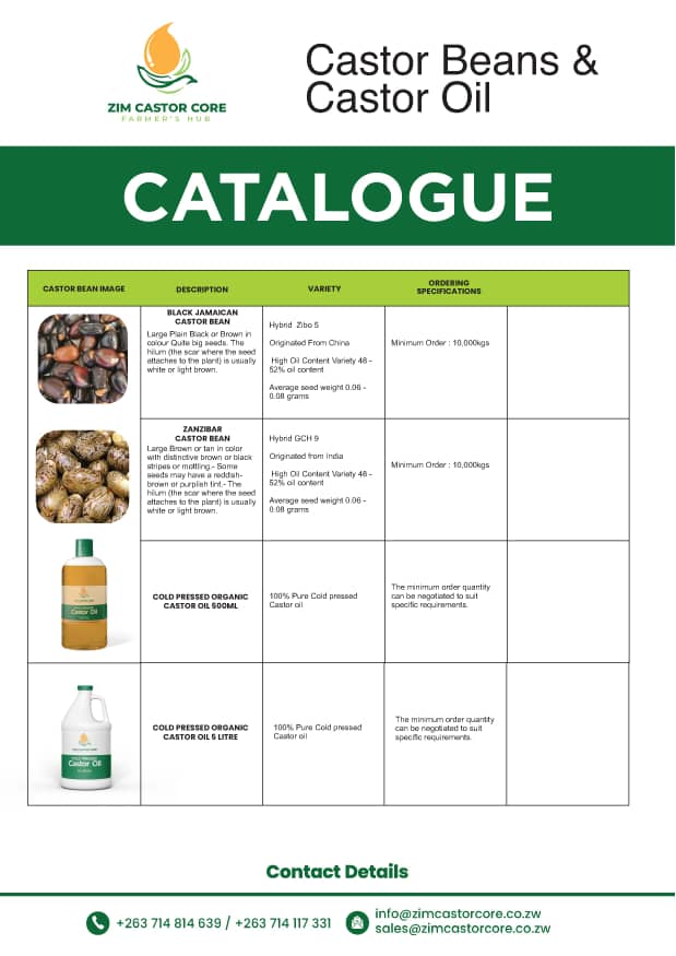 Castor bean and oil products from Zimbabwe