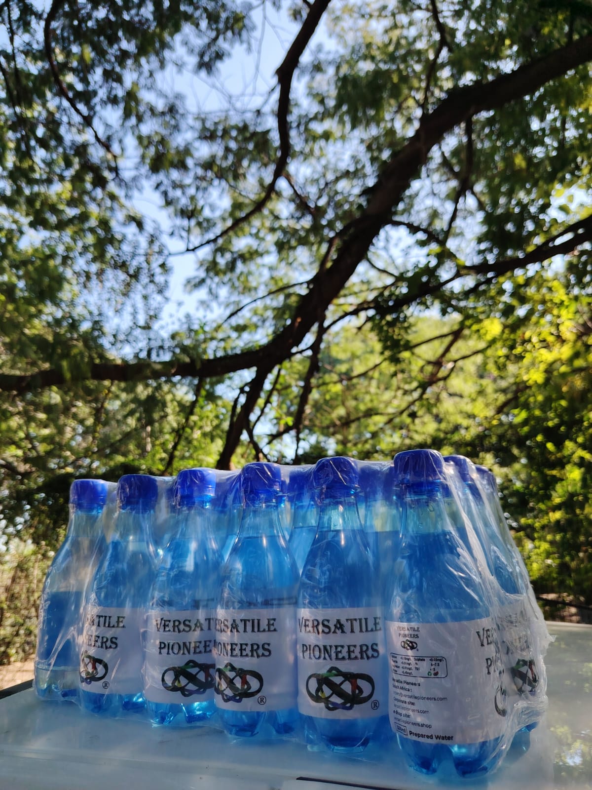 Versatile Pioneers - Stillwasser in Flaschen 330ml/11.16Oz (24er Pack) from Südafrika