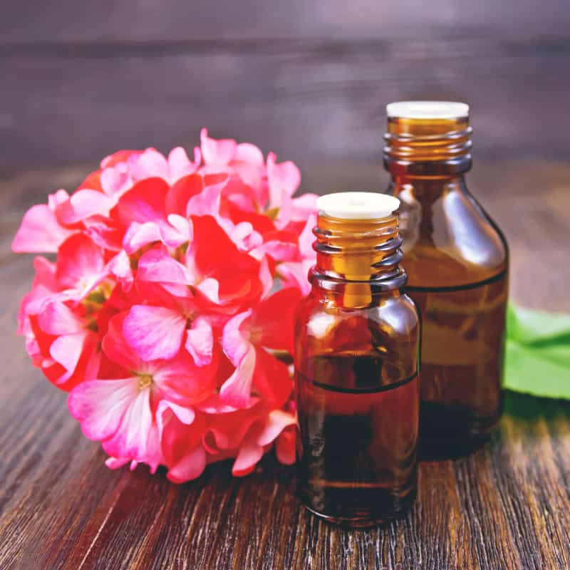 Minyak geranium from Mesir