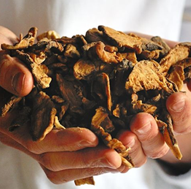 Instant Chicory powder from India