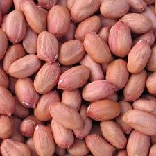 Arachides from Inde
