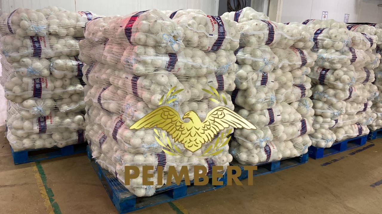 White Onion from Mexico