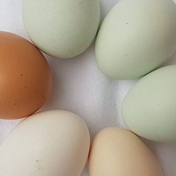 The price of eggs is soaring
