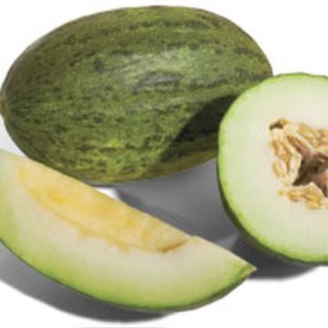 640px-Piel_De_Sapo_Melon Spain paid more for melons arriving from Morocco