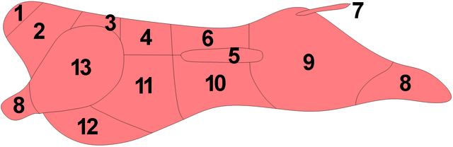 640px-Polish_beef_cuts Strzelecki: The beef sector in Poland should be included in the roundtable agreement