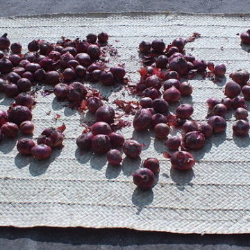 640px-RedOnionsDrying-e1681283881665 Turkey Onions: Onion harvest started