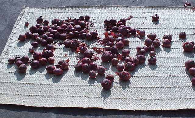 640px-RedOnionsDrying-e1681283881665 Turkey Onions: Onion harvest started