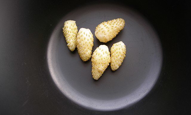 640px-White_Strawberries_44607166-e1681281890761 Vietnam Strawberry: New strawberry varieties yield over 30 tons/ha