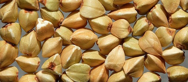 Common_buckwheat_grains-e1680853867719 Poland Cereals: The NEB is prepared to make intervention purchases of grain, At… PLN 474.72/t