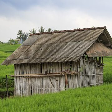 Tabanan-Regency_Indonesia_Rice-paddies-01 Indonesia Rice: On Maros visit, Jokowi hopes rice surplus will be distributed