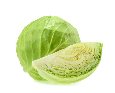 Thailand Cabbages: Planting green cabbage with a professional bringing profit of over 30,000 baht per rai