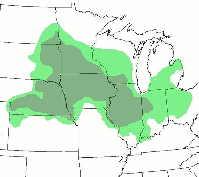 CornBelt, in US Midwest American corn areas