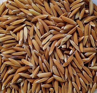 Dried grain: Credit, Wikimedia Commons Dried wheat
