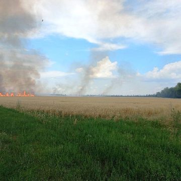 Burning agricultural field in Europe Fire hell: 220 hectares of rapeseed and grain burned down in Germany