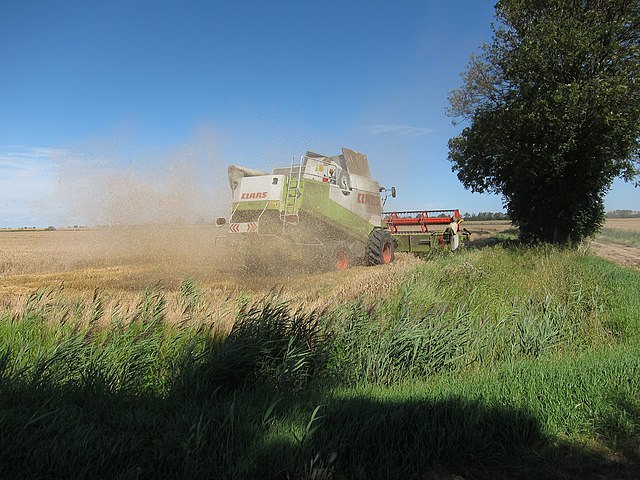 Combine harvester at a wheat field 14.986 million tons! Hebei’s summer grain harvest realizes the area, yield & total output “three times”