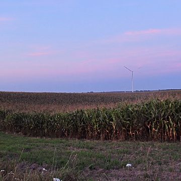 Corn farm in Poland panorama Poland: What next for eco-schemes and the principles of conditionality? That is, the direct payment system in practice