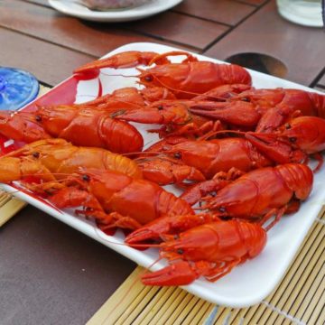 Lobster