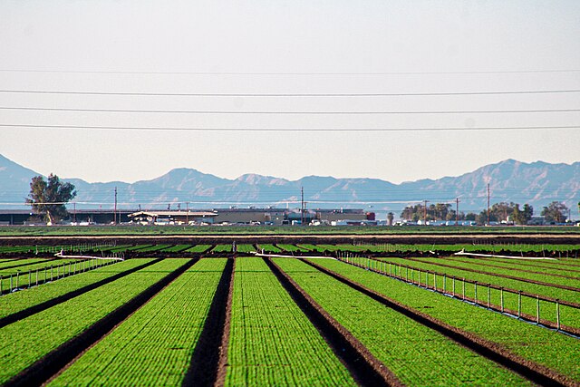 Agriculture in Imperial Valley, Ca: Credit, Wikimedia Commons Agriculture in Imperial Valley, California
