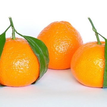 Citrus fruits-mandarin oranges: Credit, Wikimedia Commons Citrus fruits