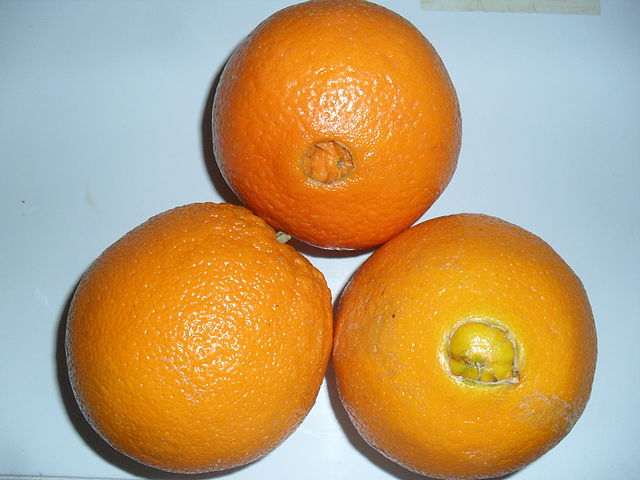 Navel Oranges: Credit, Wikimedia Commons Egypt citrus fruits