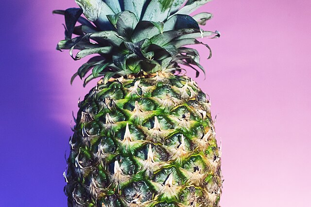 Pineapple: Credit, Wikimedia Commons Pineapple