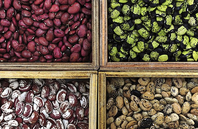 Four bean varieties in a gene bank: Credit, Wikimedia Commons PABRA brings legume wealth to Africa with hundreds of bean varieties