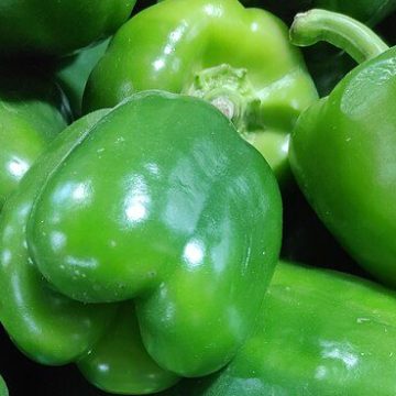 Green bell pepper: credit, Wikimedia Commons Green bell pepper