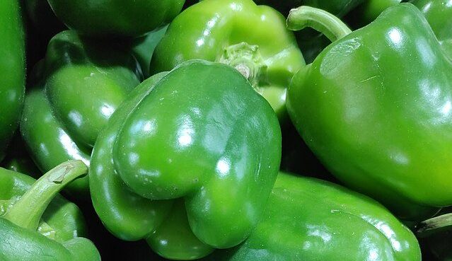 Green bell pepper: credit, Wikimedia Commons Green bell pepper