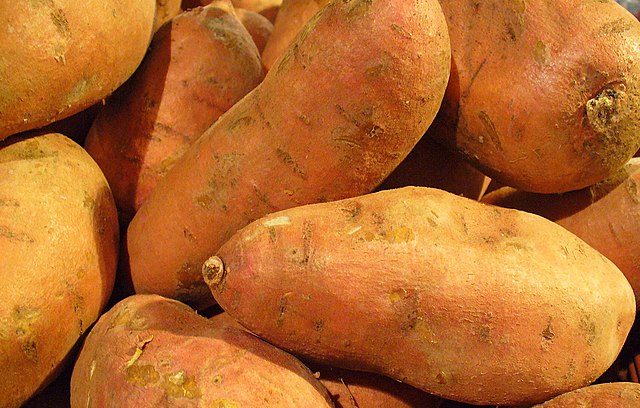 sweet potatoes: Credit, Wikimedia Commons Sweet Potatoes of North Carolina homing in