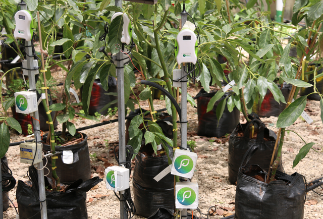 Smart farming/Precision Agriculture: Credit, Wikimedia Commons Smart agriculture