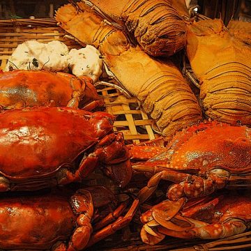 lobster and crab meat on a plate