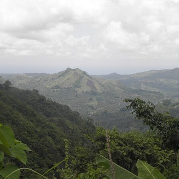 OLYMPUS DIGITAL CAMERA Mindanao, Philippines countryside