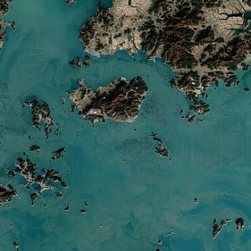 Aerial view of seaweed farm in South Korea: Credit, Selina Wamucii seaweed farm in South Korea