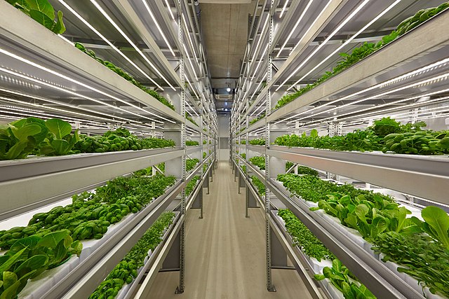 A vertical farm: Credit, Wikimedia Commons Vertical farm