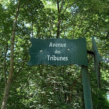 Avenue Tribunes, Paris: Credit, Wikimedia Commons A green street in Paris