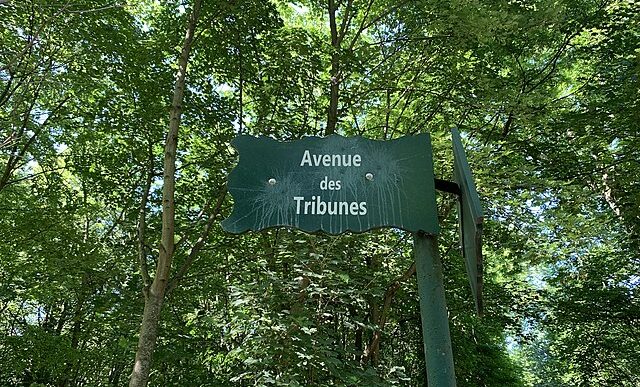 Avenue Tribunes, Paris: Credit, Wikimedia Commons A green street in Paris
